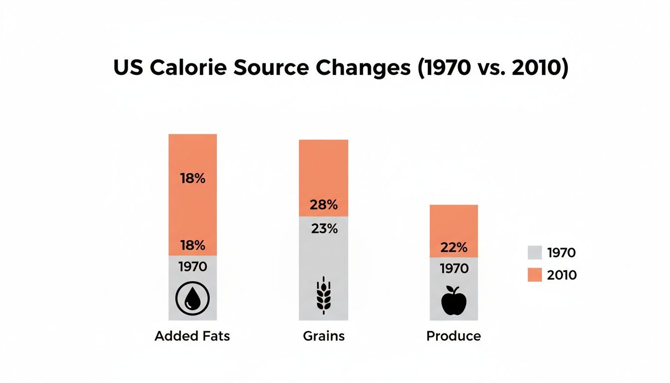 Bar chart comparing US calorie sources from added fats, grains, and produce in 1970 vs. 2010.