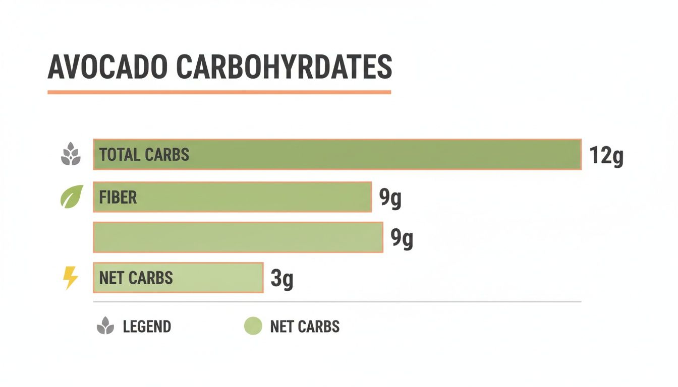 Bar chart illustrating avocado carbohydrate content: 12g total carbs, 9g fiber, and 3g net carbs.