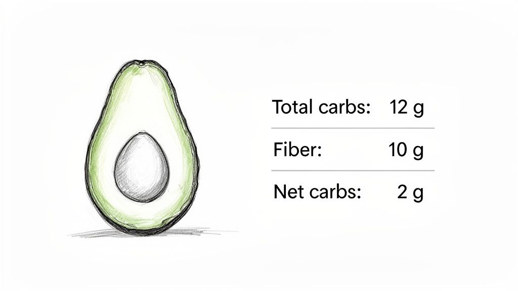 A sketch of a sliced avocado with its pit, next to carb nutrition facts.