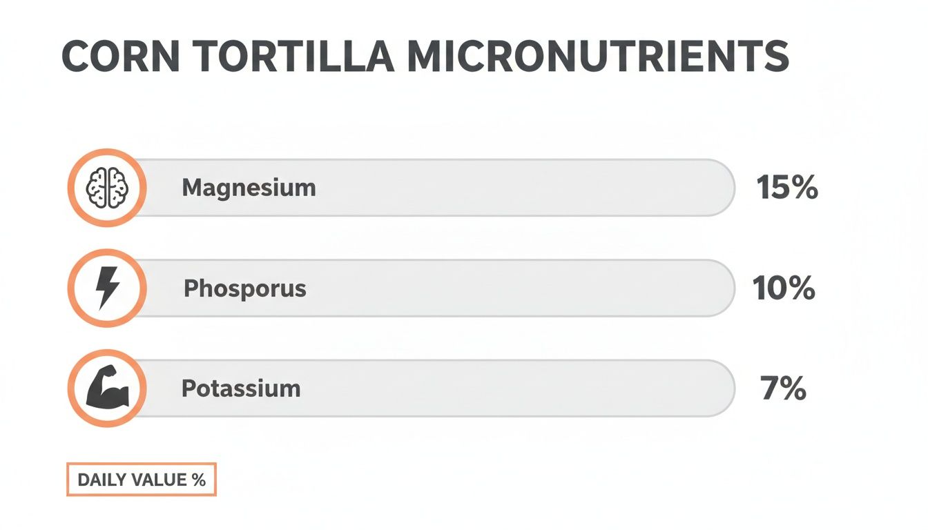 A bar chart displays corn tortilla micronutrients: Magnesium 15%, Phosphorus 10%, and Potassium 7% of daily value.