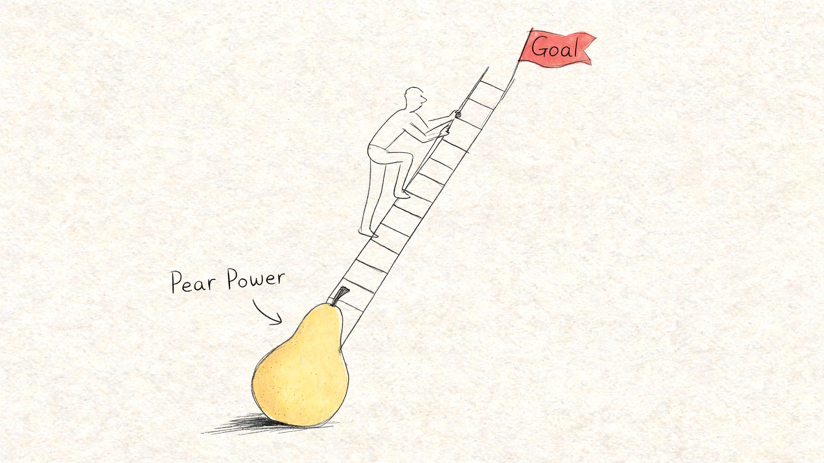 A line drawing illustration showing a person climbing a ladder propped up on a large Anjou pear.