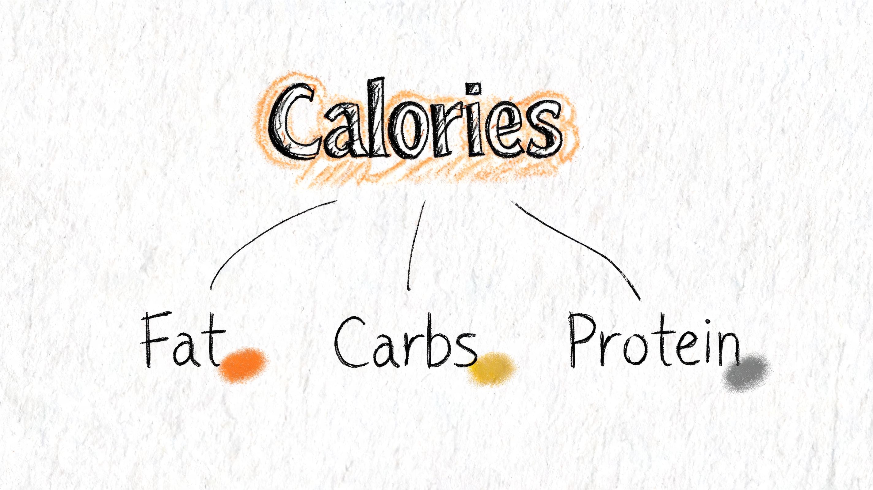 A hand-drawn diagram illustrating that calories originate from fat, carbohydrates, and protein in food.