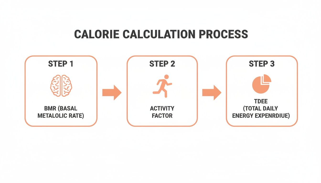 A three-step infographic explaining the calorie calculation process: BMR, activity factor, and TDEE.
