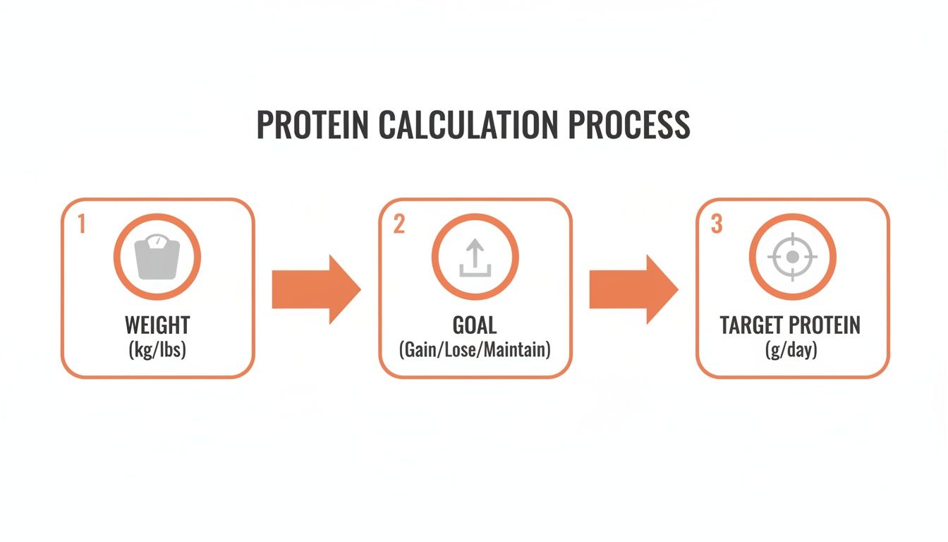 A three-step infographic illustrating the protein calculation process: Weight, Goal, and Target Protein intake.
