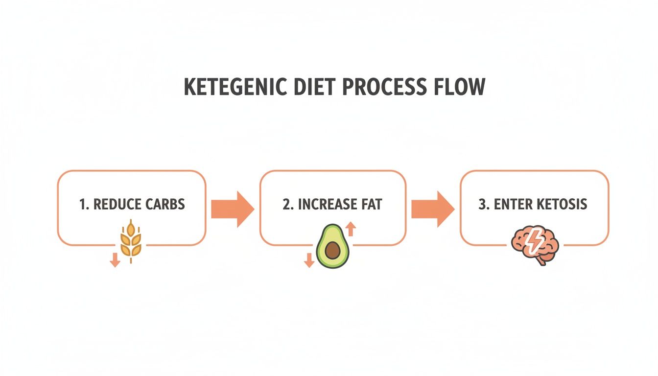 A three-step process flow for a ketogenic diet, showing reducing carbs, increasing fat, and entering ketosis.