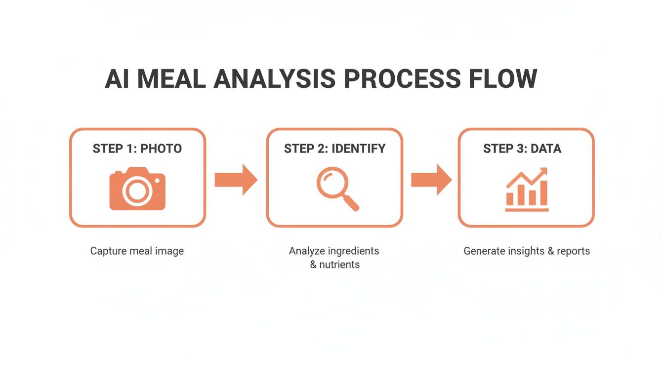 A diagram illustrating the AI meal analysis process flow: photo capture, ingredient identification, and data reporting.