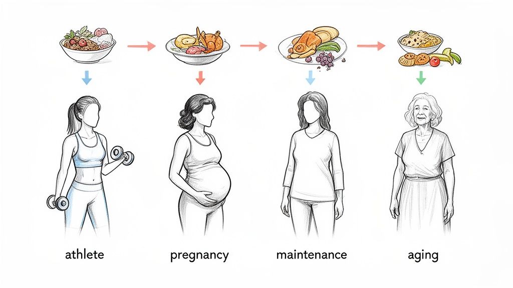 Visual guide illustrating tailored nutrition and protein needs for women across various life stages.