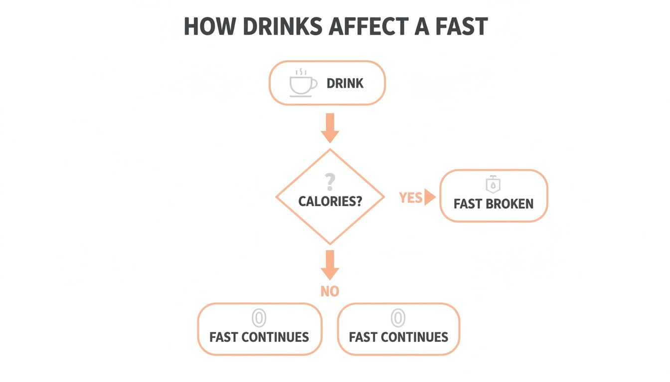 Flowchart detailing whether drinks with calories break a fast or allow it to continue.